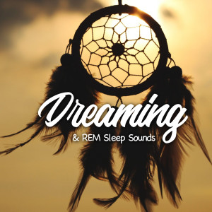 อัลบัม Dreaming & REM Sleep Sounds ศิลปิน Sound Dreamer