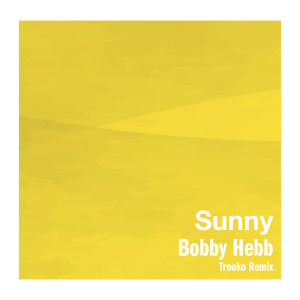 Bobby Hebb的專輯Sunny (Trooko Remix)