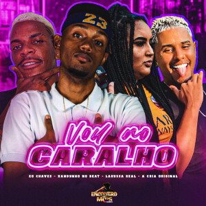 Xandynho no Beat的专辑Vou no Caralho (Explicit)