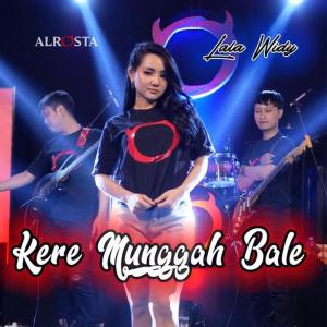 收聽Lala Widy的Kere Munggah Bale歌詞歌曲