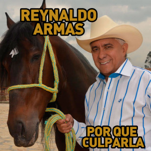 收聽Reynaldo Armas的Por Que Culparla歌詞歌曲
