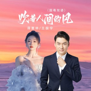 收听蒋蕙林的吹着人间的风（国粤双语） (完整版)歌词歌曲