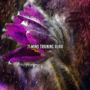 71 Mind Training Aura