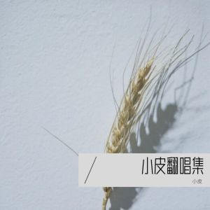 收聽小皮的老情歌 (cover: 呂方) (Demo)歌詞歌曲