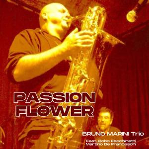 อัลบัม Passion flower (feat. Bobo Facchinetti & Martino De Franceschi) ศิลปิน Bobo Facchinetti