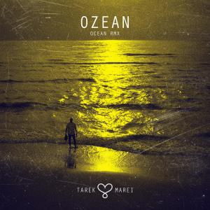 Album Ozean (OCEAN RMX) from TAREK MAREI