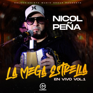 收聽Nicol Peña的Ay Amor歌詞歌曲
