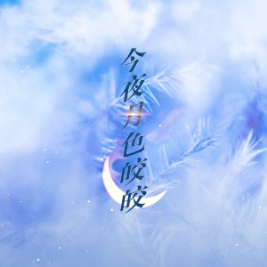 Album 周而付始 | 今夜月色皎皎 from 一空