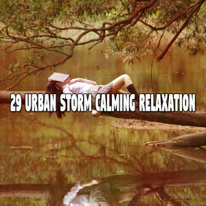 ดาวน์โหลดและฟังเพลง Mind Quenching พร้อมเนื้อเพลงจาก Rain Sounds