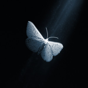 Listen to Memories song with lyrics from CHMCL SØUP