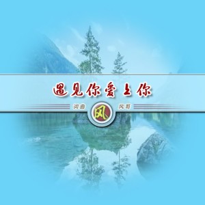 Dengarkan lagu 遇见你爱上你 (完整版) nyanyian 风哥 dengan lirik