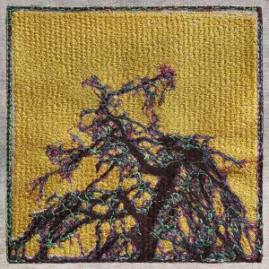 收聽René van Munster的Angel (Nyokabi Kariũki Remix)歌詞歌曲