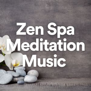 Listen to Waterfall song with lyrics from Zen Meditation and Natural White Noise and New Age Deep Massage