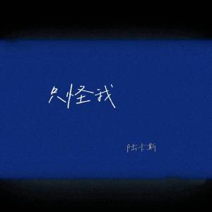 Album 只怪我 from 陆卡斯