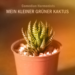 Comedian Harmonists的专辑Mein kleiner grüner Kaktus