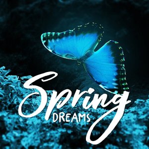 Album Spring Dreams from Olive