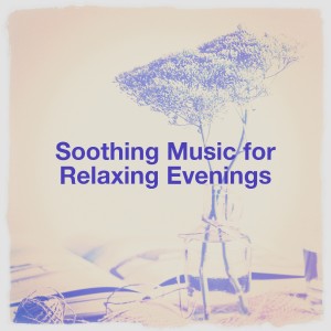 Album Soothing Music for Relaxing Evenings oleh Studying Music Group