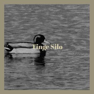 收听Maric Delin的Follow Thoroughly歌词歌曲