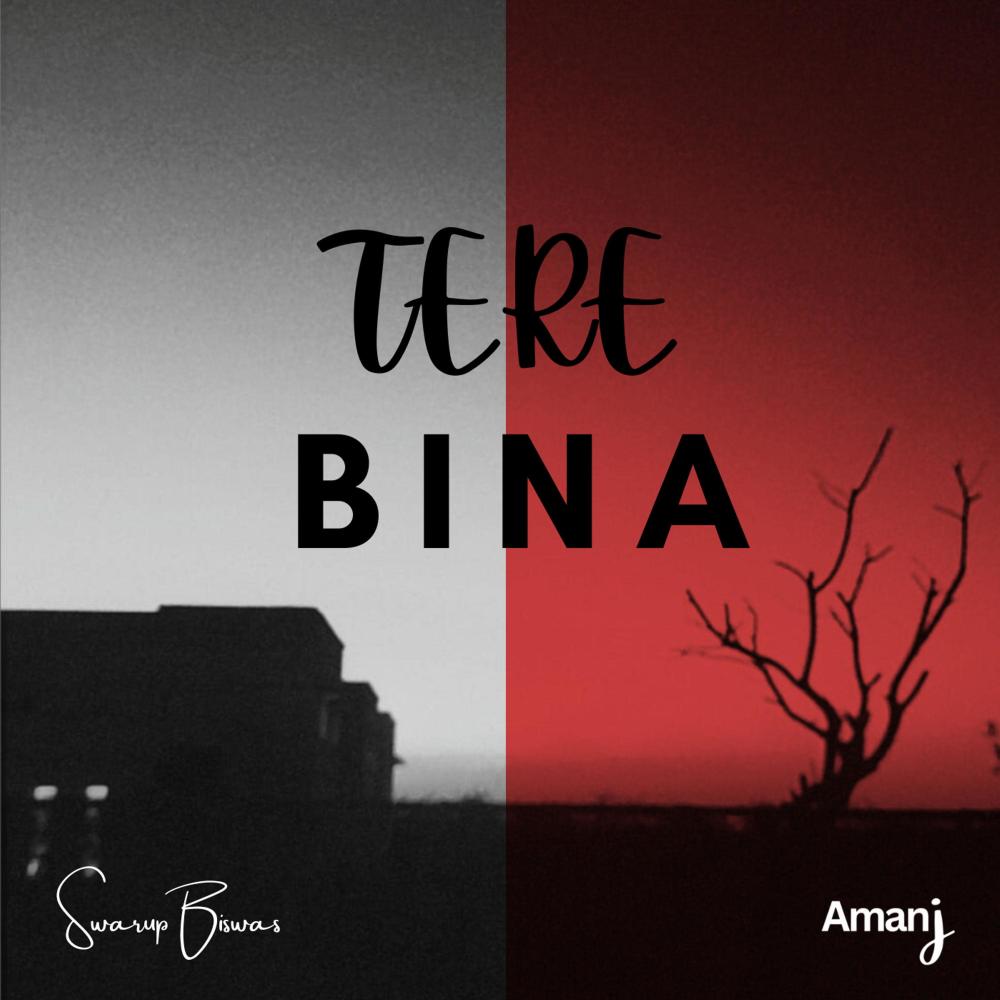 Tere Bina
