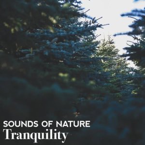 Album Sounds of Nature: Tranquility from Mediation Sounds of Nature