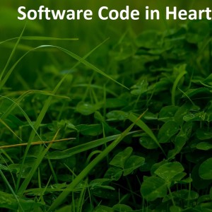 收聽Paula Greer的Software Code in Heart歌詞歌曲