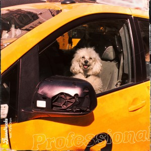 收聽Brasstracks的Professional歌詞歌曲