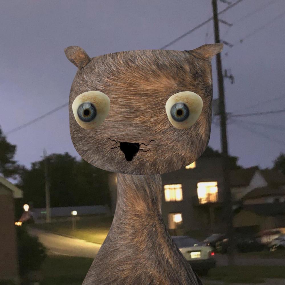 wave to the cat