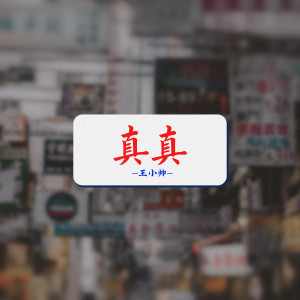 Album 真真 (吉他版) from 王小帅