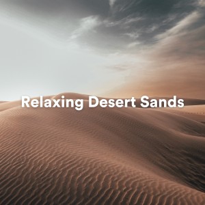 Insomnia Relief Music的專輯Relaxing Desert Sands