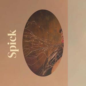 Listen to Principal Sour song with lyrics from Mayde Hizi