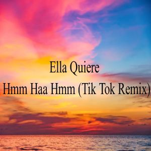 Tik Tok的专辑Ella Quiere Hmm Haa Hmm(Tik Tok Remix)