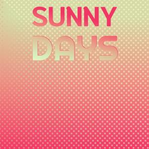 Listen to Cindy Oh Cindy song with lyrics from Vince Martin-Tarriers