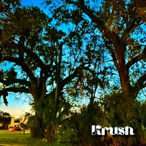 收聽Krush的Super Chillin (Explicit)歌詞歌曲