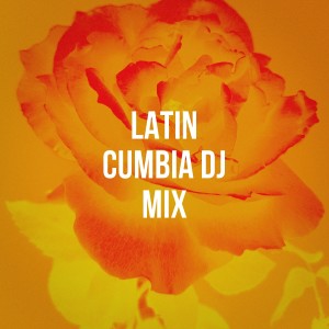 อัลบัม Latin Cumbia DJ Mix ศิลปิน Los Latinos Románticos
