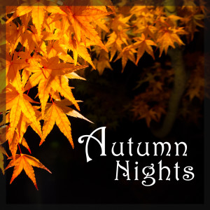 Antonio Vivaldi的專輯Autumn Nights: Vivaldi