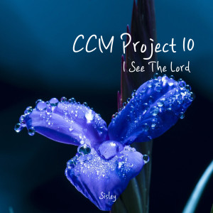 Album CCM Project 10 from 시슬리