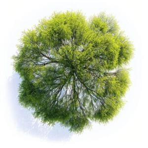 收聽.Gav的ykwtd歌詞歌曲