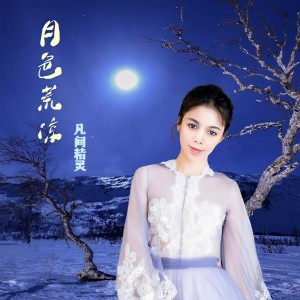 Listen to 月色荒凉（DJ小鹏版） (伴奏) song with lyrics from 凡间精灵