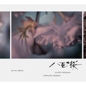 ดาวน์โหลดและฟังเพลง 八重の桜 メインテーマ พร้อมเนื้อเพลงจาก Ryuichi Sakamoto