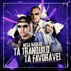 Dengarkan lagu Mega Magrão Tá Tranquilo, Tá Favorável (feat. MC Bin Laden) nyanyian Dj Bruninho Pzs dengan lirik