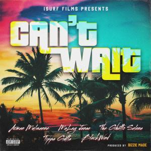 Isurf Films的專輯Can't Wait (Explicit)