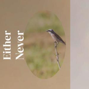 Listen to Either Never song with lyrics from Pter Chak