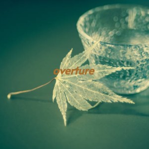 ดาวน์โหลดและฟังเพลง Overture (Original Soundtrack from 'North by Northwest') พร้อมเนื้อเพลงจาก Bernard Herrmann