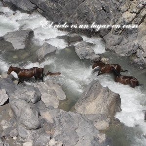 อัลบัม El cielo es un lugar en casa (Explicit) ศิลปิน Zapalln