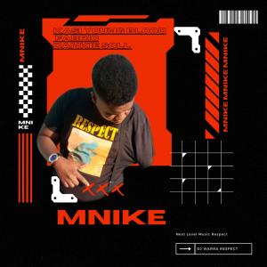 Album Mnike (feat. Fabric & Dankie Soll) from Fabric