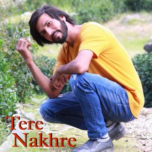 Album Tere Nakhre from Jogi Praju Nayyer