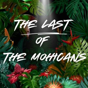 Relaxing Sounds的專輯The Last of The Mohicans (Instrumental)