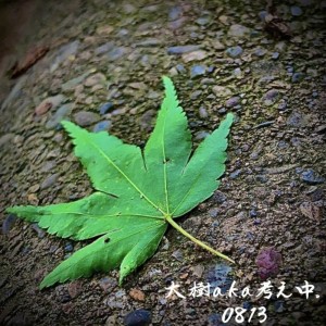 Listen to 0813 (Explicit) song with lyrics from 大樹a.k.a考え中。