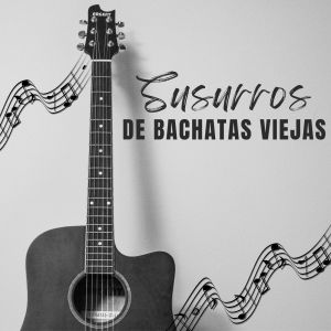 Listen to Y Vuelvo Y Vuelvo Otra Vez song with lyrics from Anthony Santos