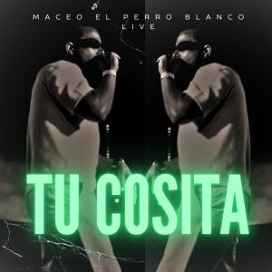 收聽maceo el perro blanco live的tu cosita (live)歌詞歌曲